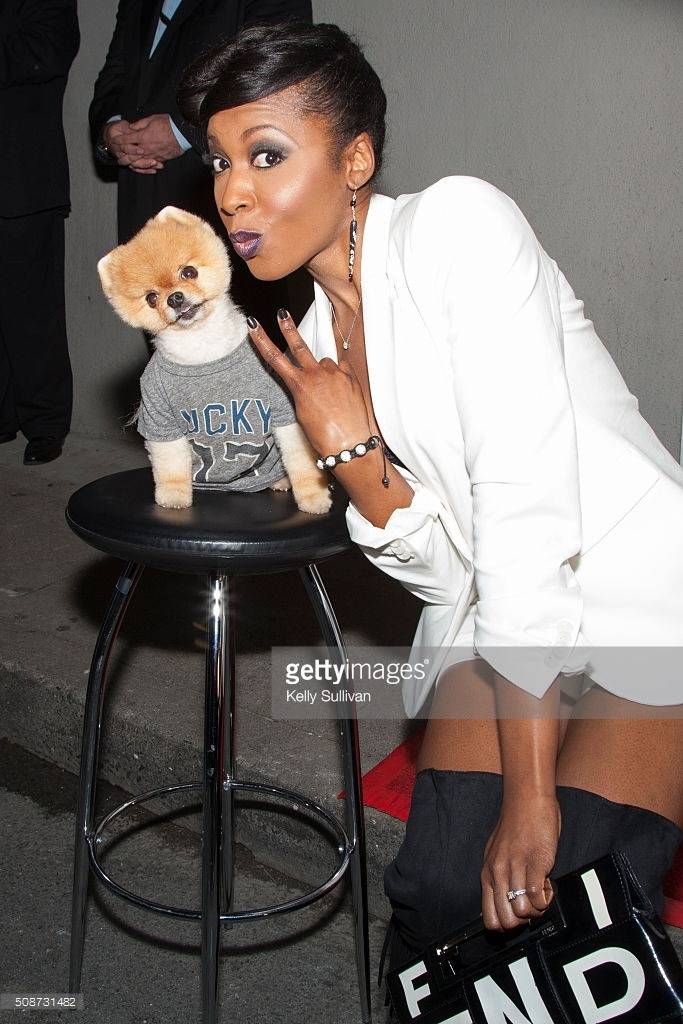 견종 이야기 - 포메라니안 | 인스티즈