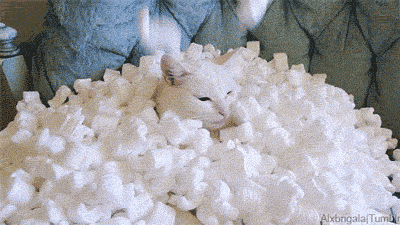 이..이게 눈이라는 거냥? | 인스티즈