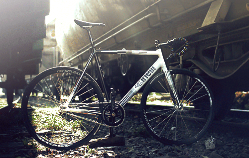  네게도 벚꽃의 계절이 있었다 | 인스티즈