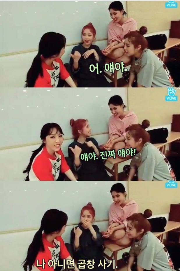 마피아 없는 마피아하는 마마무 | 인스티즈