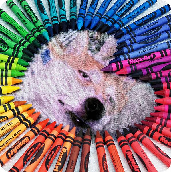 억지로 노력하지마라.txt (feat. 공부법) | 인스티즈