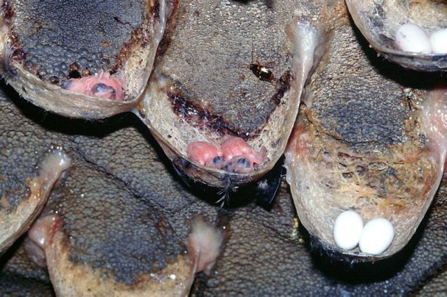 조금 무서운 음식들.jpg | 인스티즈