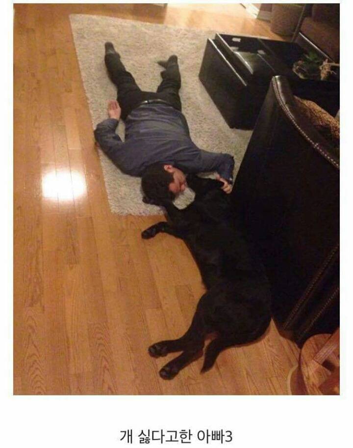 아빠 개 싫어한다 | 인스티즈