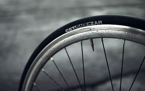  네게도 벚꽃의 계절이 있었다 | 인스티즈