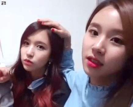 트와이스 짤 털이.... | 인스티즈