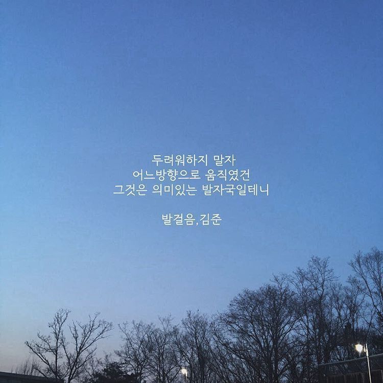 두려워하지 말자 어느 방향으로 움직였건 그것은 의미있는 발자국일테니 | 인스티즈