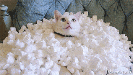 이..이게 눈이라는 거냥? | 인스티즈