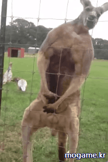 당신이라면 골목을 지나가겠습니까? | 인스티즈