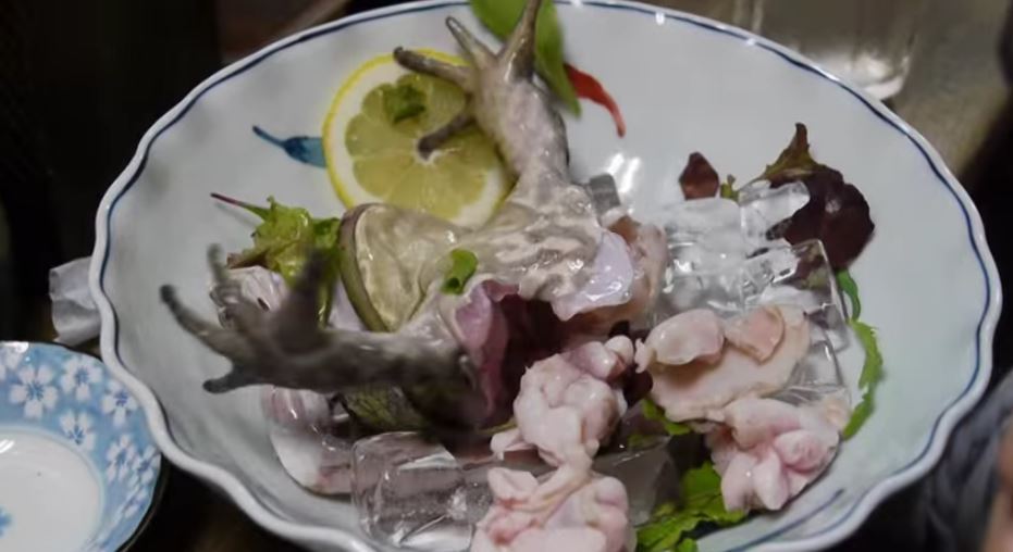 조금 무서운 음식들.jpg | 인스티즈