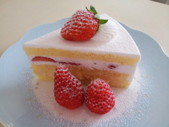 케이크 취향은? | 인스티즈