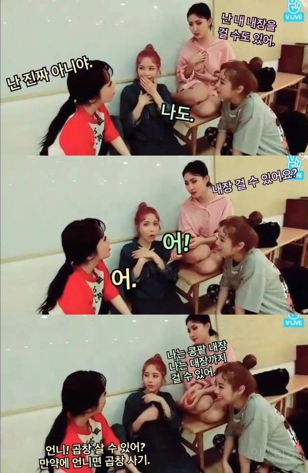 마피아 없는 마피아하는 마마무 | 인스티즈