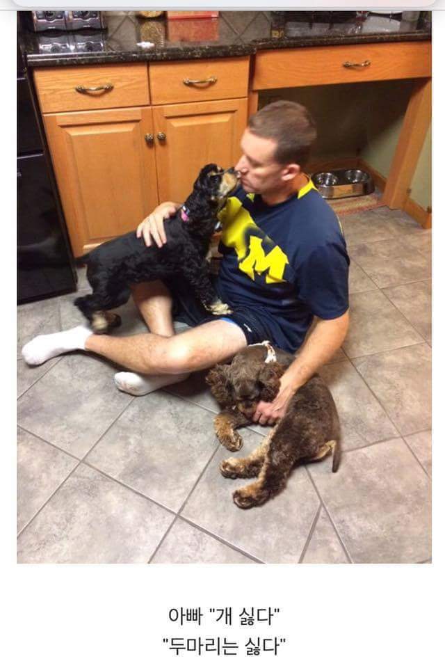 아빠 개 싫어한다 | 인스티즈