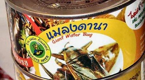 조금 무서운 음식들.jpg | 인스티즈