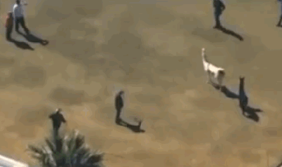 &#45962;마타 경기력..gif | 인스티즈