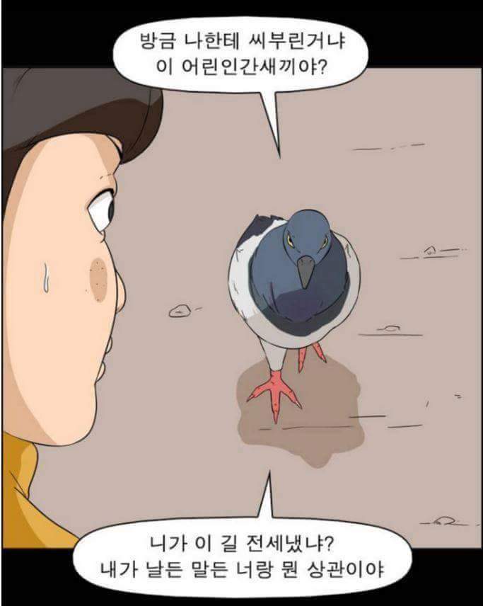 동물들이 말을 할 수 있다면 일어나는 일 | 인스티즈