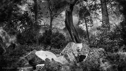  이별연습 | 인스티즈