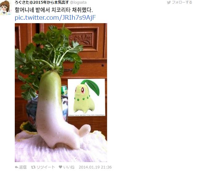 열도의 흔한 농작물들.jpg | 인스티즈