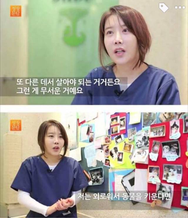 강아지나 고양이를 키우려는 사람들에게 | 인스티즈