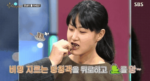 재밌었던 예능인데 많은 사람들에게 언급이 없는 프로그램 (아재 주의) | 인스티즈