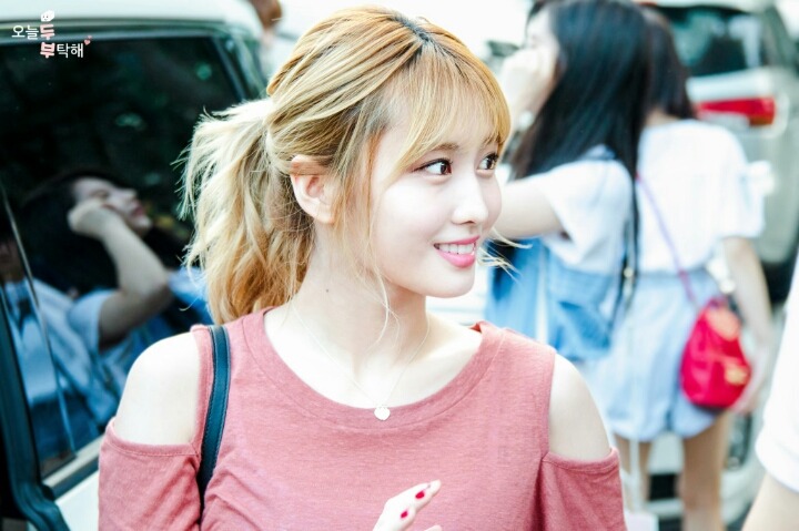 [트와이스] 미사모 출퇴근길 모음 | 인스티즈