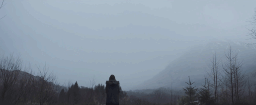 고래가 하늘을 나는 동물이라면 | 인스티즈