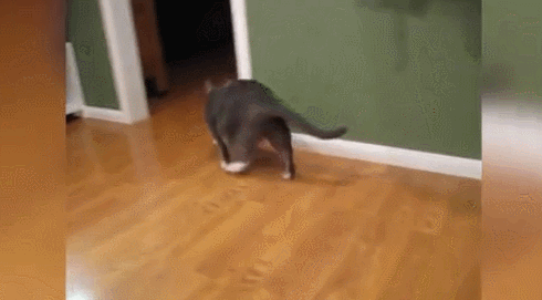 문이 작은거임ㅡ.ㅡ | 인스티즈