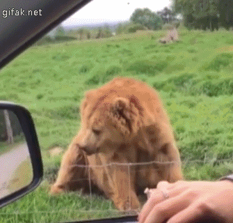 다음에 또 올게요. 그래 어여가 .GIF | 인스티즈