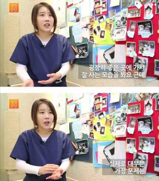 강아지나 고양이를 키우려는 사람들에게 | 인스티즈