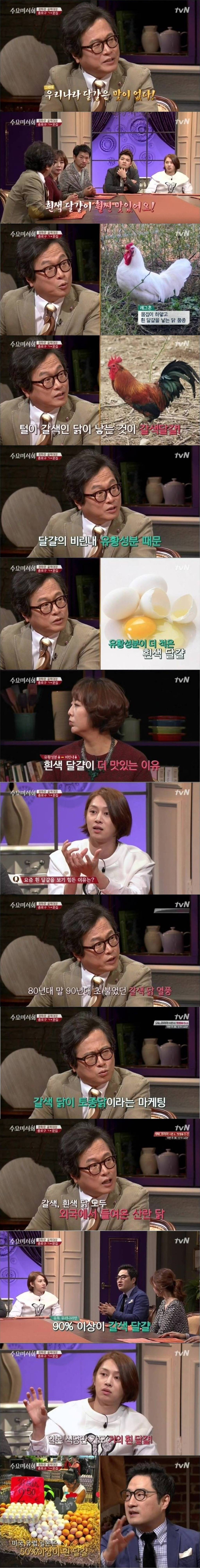 흰란과 갈색란의 차이 | 인스티즈