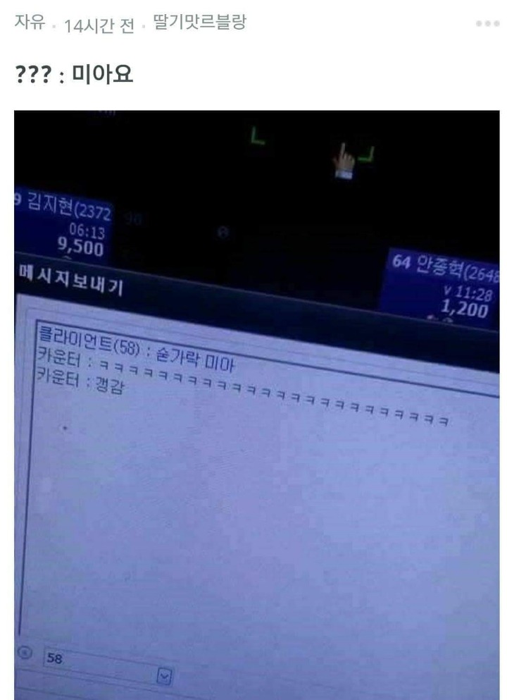 ???:미아요 | 인스티즈