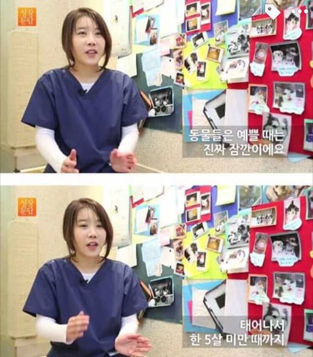 강아지나 고양이를 키우려는 사람들에게 | 인스티즈