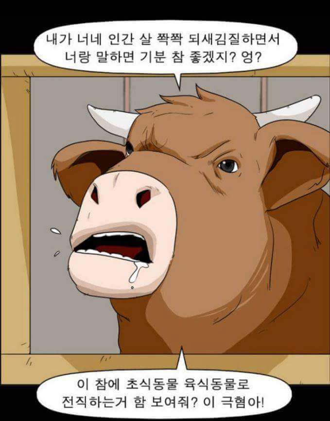 동물들이 말을 할 수 있다면 일어나는 일 | 인스티즈