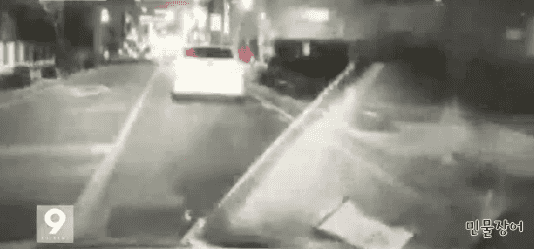 미친 음주운전 | 인스티즈