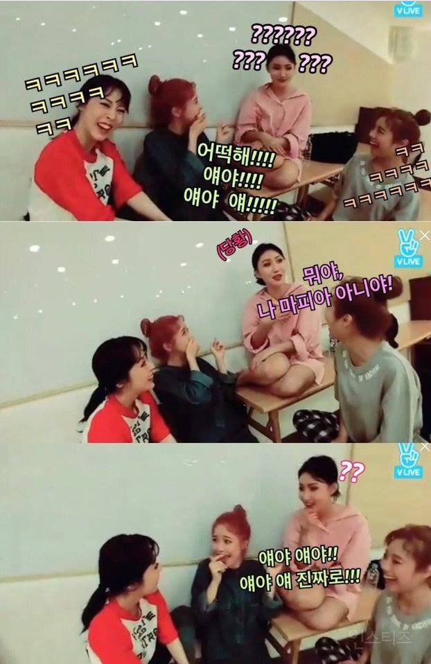 마피아 없는 마피아하는 마마무 | 인스티즈