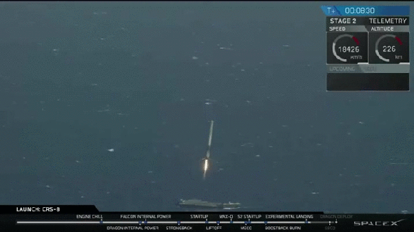 미국의 흔한 네이밍센스.jpg | 인스티즈