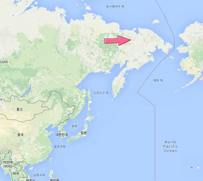 견종 이야기 - 시베리안 허스키 | 인스티즈