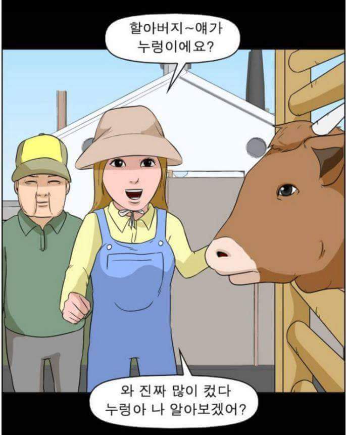 동물들이 말을 할 수 있다면 일어나는 일 | 인스티즈