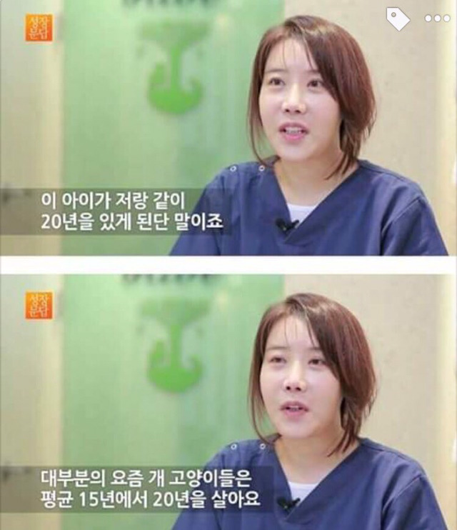 강아지나 고양이를 키우려는 사람들에게 | 인스티즈