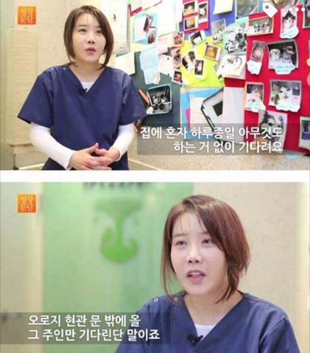 강아지나 고양이를 키우려는 사람들에게 | 인스티즈