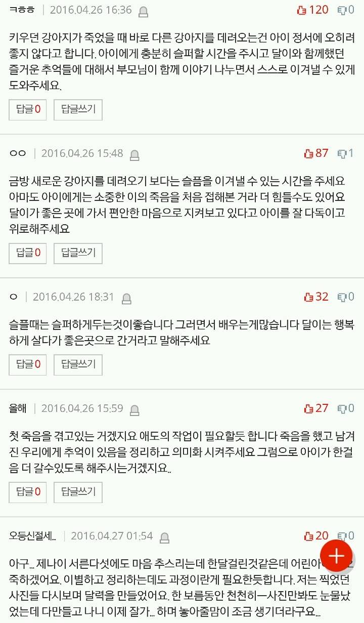 딸아이가 강아지때문에 시름시름앓고있어요.. | 인스티즈