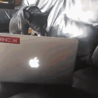 야동보다 딱 걸림 | 인스티즈