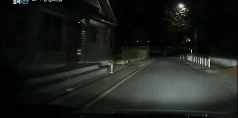 수리부엉이의 사냥.gif | 인스티즈