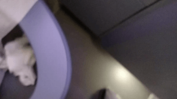 승무원한테 뺨 맛을 짓.gif | 인스티즈