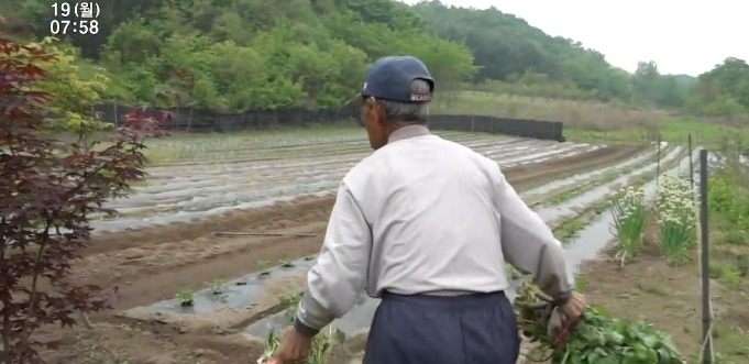 99세 할아버지 하루 일과.jpg | 인스티즈