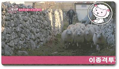 투표안하는 사람에게 일침 | 인스티즈