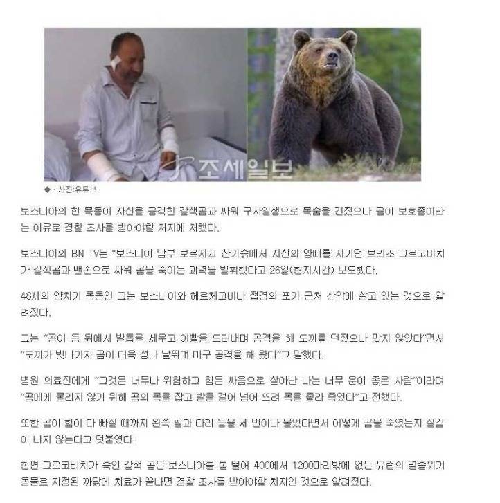 곰으로부터 자신을 지키는 호신술을 배워보자 | 인스티즈