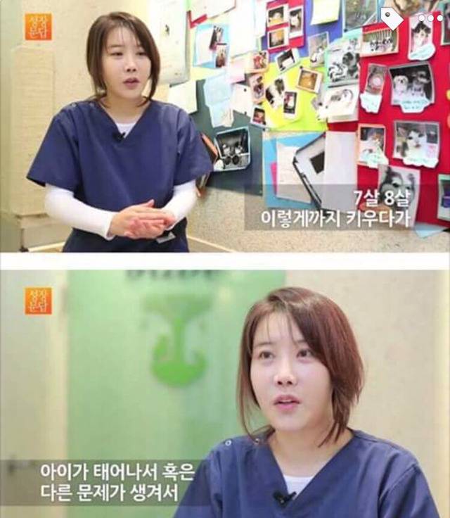강아지나 고양이를 키우려는 사람들에게 | 인스티즈