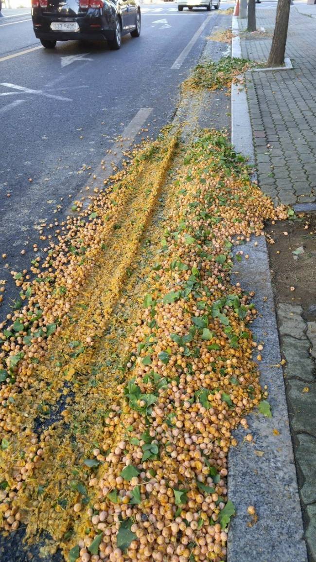 사진에서 냄새가 나요 | 인스티즈