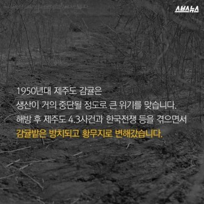 민족반역자의 아들로 태어나 대한민국을 살찌운 남자 | 인스티즈