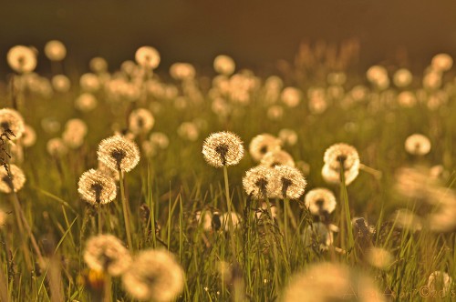  아마도 잠 못 이룰 날이 많을 것 같습니다 | 인스티즈